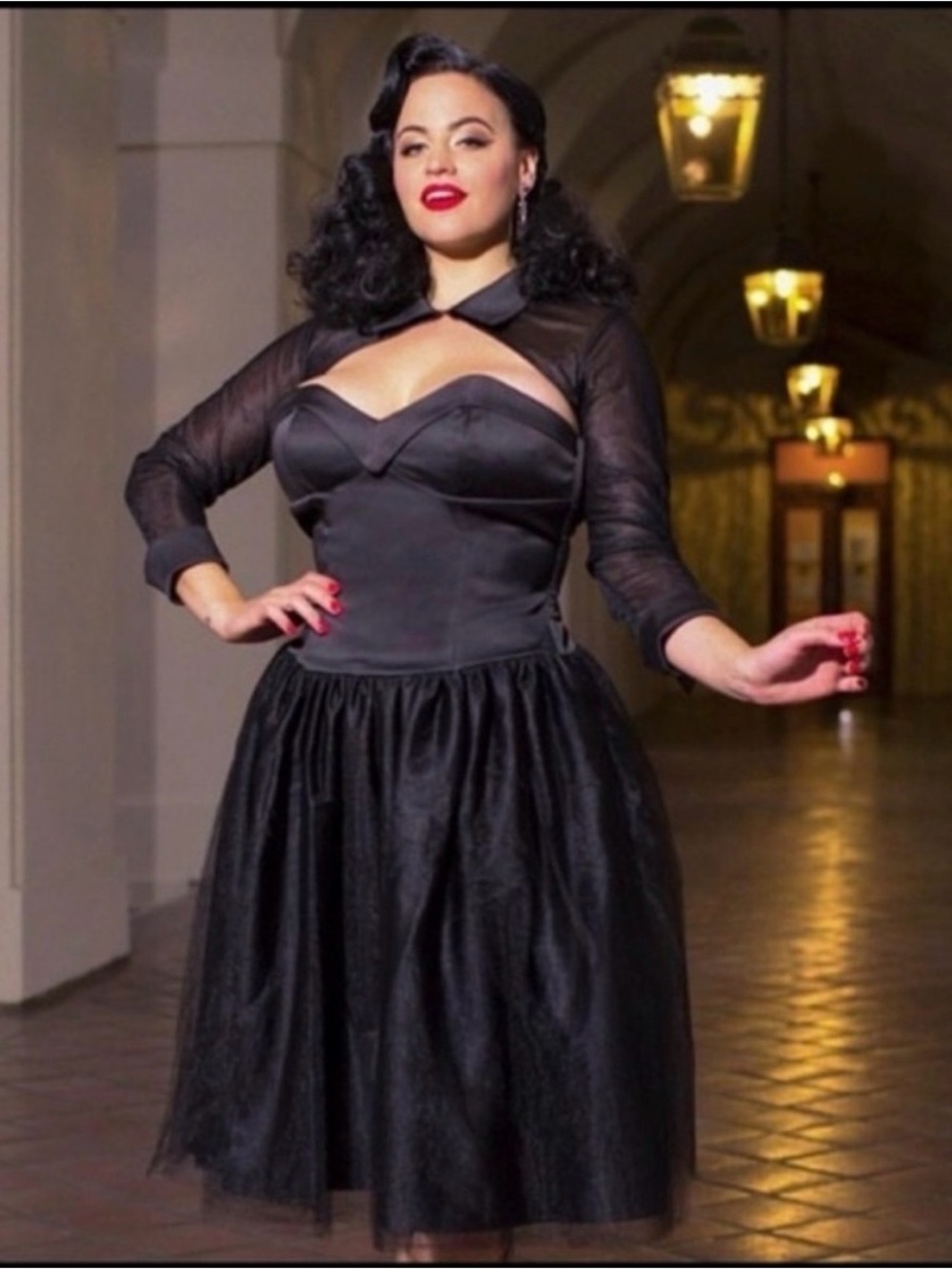 Black Sheer Sleeve Fit-and-Flare Dress